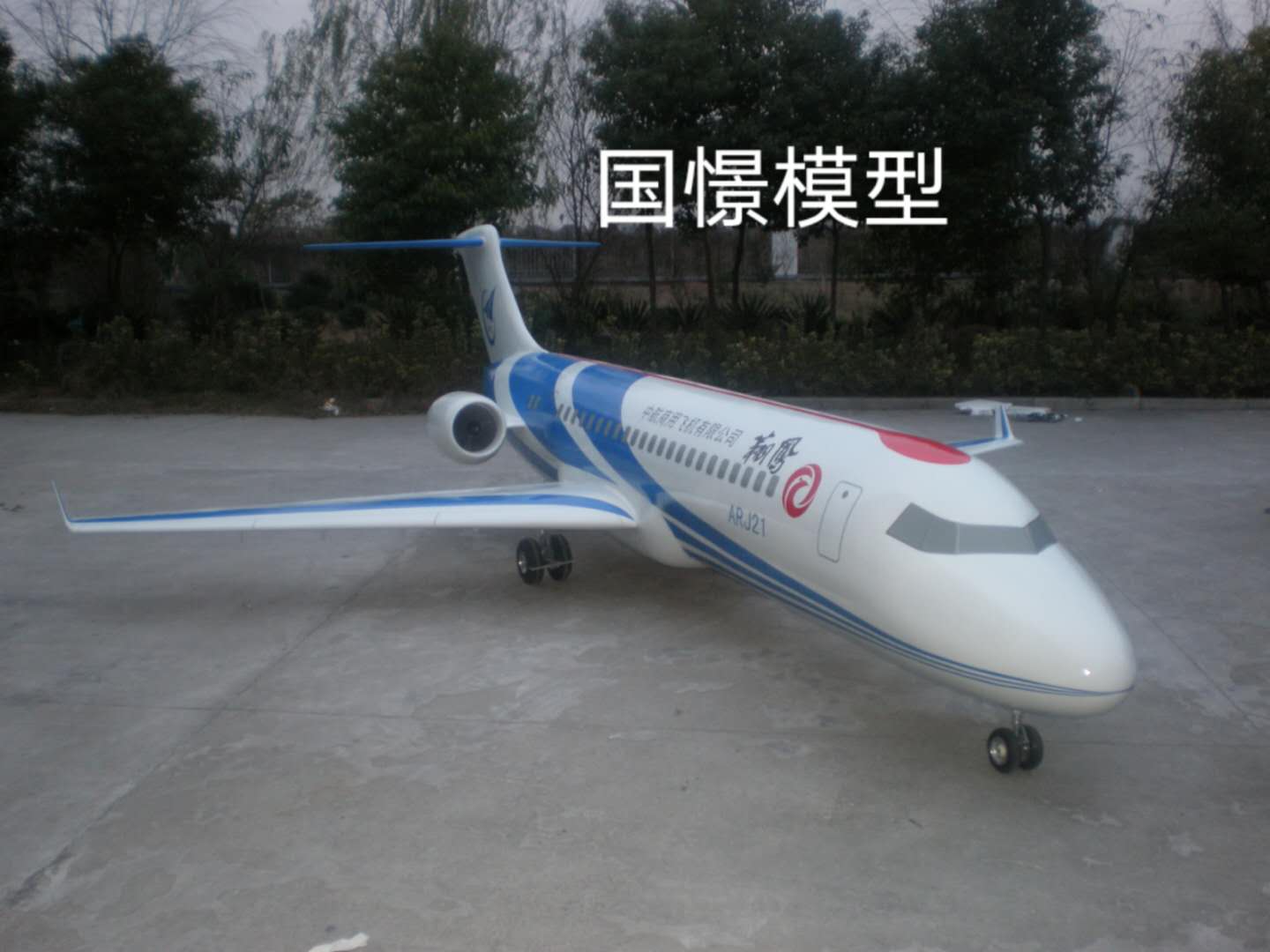 贵德县飞机模型